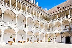 Opocno Palace