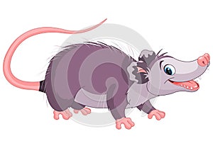 Opossum