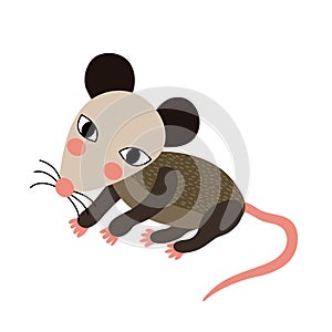 Opossum animal cartoon character vector illustration