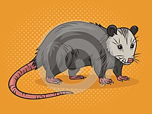 Opossum comic book pop art vector illustration