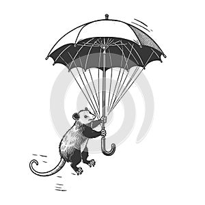 Opossum fly with Umbrella Illustration raster