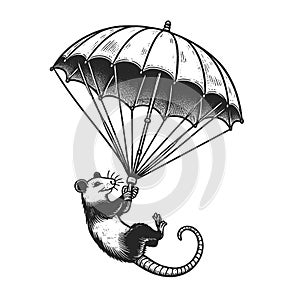 Opossum fly with Umbrella Illustration raster