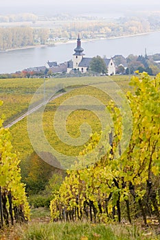 Oppenheim, Rheingau, Germany