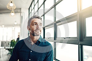 Opportunity doesnt hang around, neither should you. a mature businessman looking thoughtfully out of an office window.