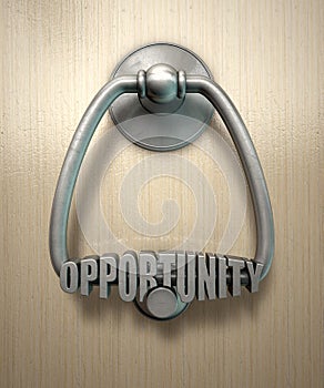 Opportunity Knocks Door Knocker