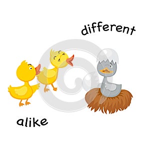 Opposite alike and different