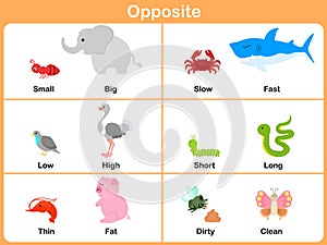 Opposite with animals for preschool - Worksheet for education