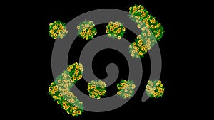 Opposite arrows with yellow daisy flowers and green leaves on plain black background