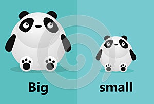 Opposite big and small, Opposite English Words big and small on white background,panda illustration vector.