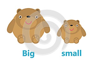 Opposite big and small, Opposite English Words big and small on white background,teddy bear illustration vector.