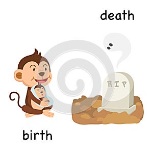 Opposite birth and death illustration