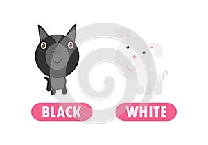 Opposite black and white, Words antonym for children with cartoon characters cute little dog, funny animal Flat vector