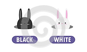 Opposite black and white, Words antonym for children with cartoon characters cute little rabbit, animal Flat vector illustration