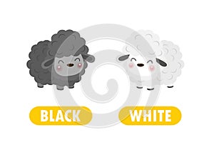 Opposite black and white Words antonym for children with cartoon characters cute little sheep, funny animal Flat vector