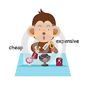 Opposite cheap and expensive illustration