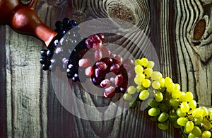 Opposite the clay wine bottle are grapes of Chardonnay, Traminer and Isabella for the production of dessert wines. The clusters