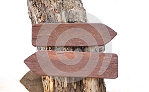 Opposite directions arrow signs. Two blank wooden pointers on a tree trunk, copy space