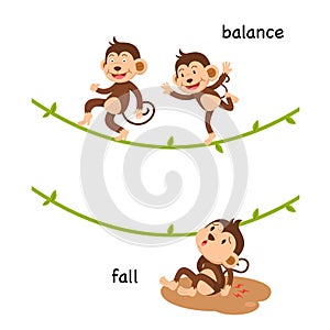 Opposite fall and balance