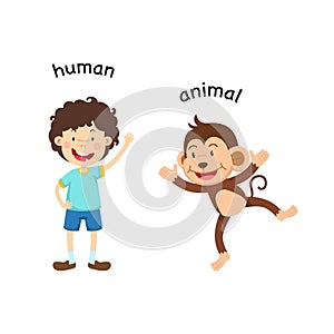 Opposite human and animal