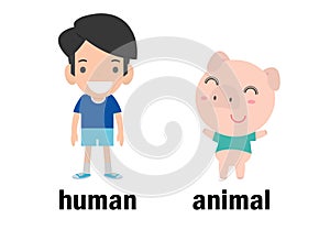 Opposite human and animal vector illustration, Opposite English Words human and animal vector illustration on white background