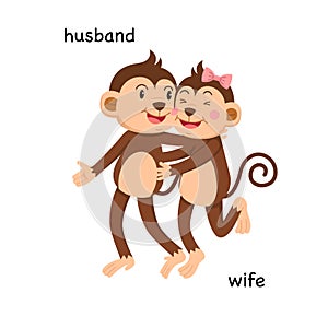 Opposite husband and wife