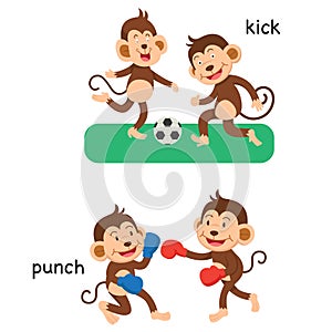 Opposite kick and punch