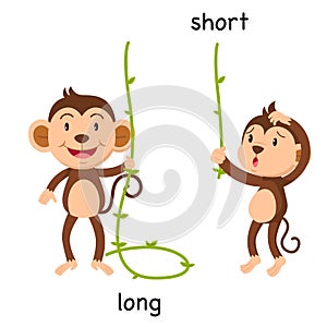 Opposite long and short illustration