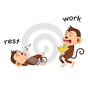 Opposite rest and work