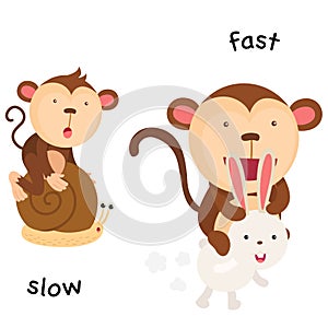 Opposite slow and fast illustration