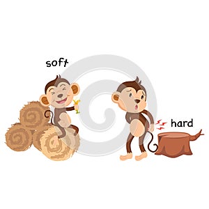 Opposite soft and hard illustration