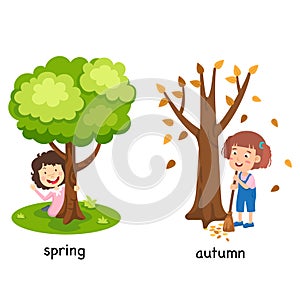 Opposite spring and autumn