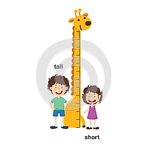 Opposite tall and short