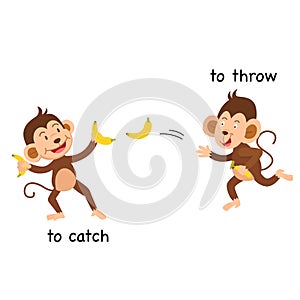 Opposite to catch and to throw