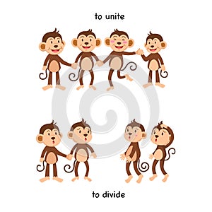 Opposite to unite and to divide