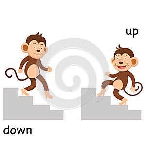 Opposite up and down illustration