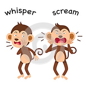 Opposite whisper and scream illustration