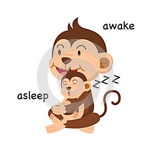 Opposite words asleep and awake vector