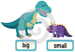 Opposite words for big and small