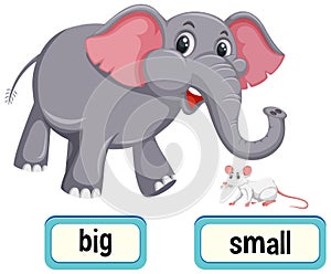 Opposite words for big and small