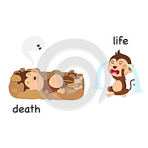 Opposite words death and life vector