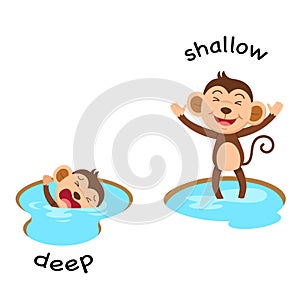 Opposite words deep and shallow vector