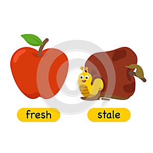 Opposite words fresh and stale