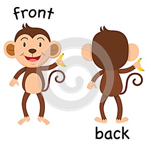 Opposite words front and back vector