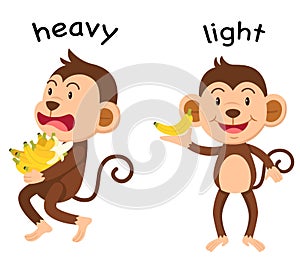 Opposite words heavy and light vector