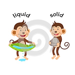 Opposite words liquid and solid vector