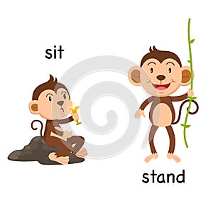 Opposite words sit and stand vector