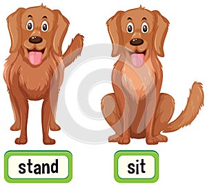Opposite words for stand and sit