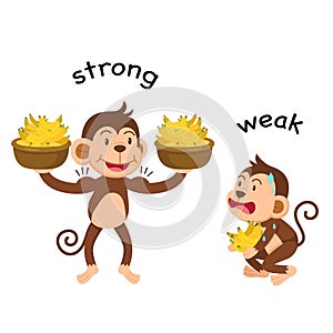 Opposite words strong and weak vector