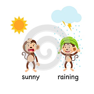 Opposite words sunny and raining vector