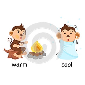 Opposite words warm and cool vector photo